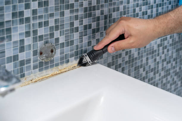 Trusted Sylacauga, AL Mold Removal Experts